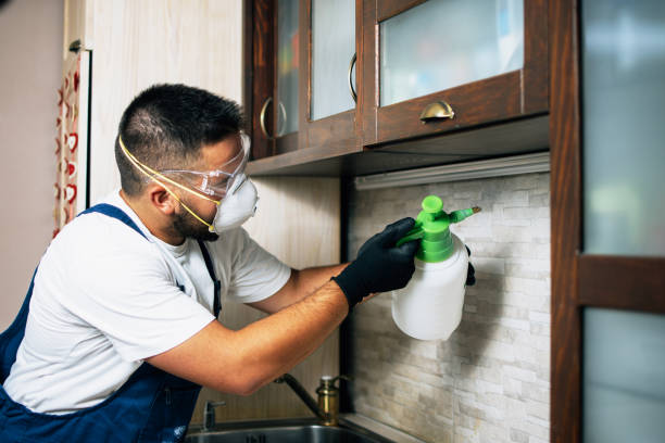 Best Pest Control for Homes  in Helena, MT