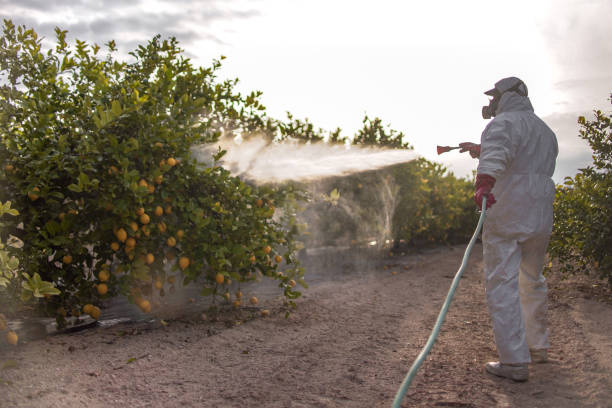 Best Pest Control Near Me  in Helena, MT