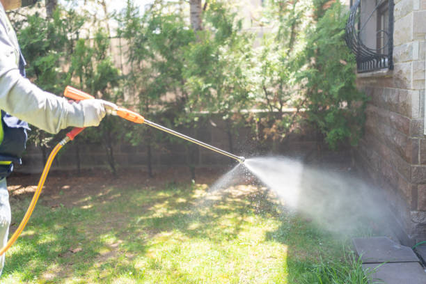 Professional Pest Control in Helena, MT