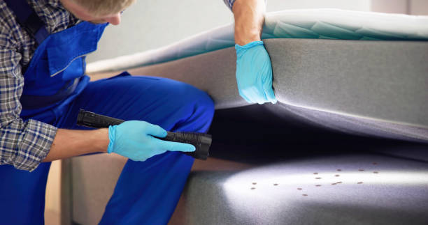 Best Pest Prevention Services  in Helena, MT