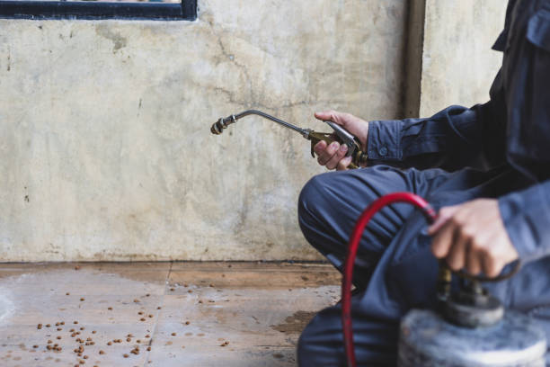Best Termite Control Services  in Helena, MT