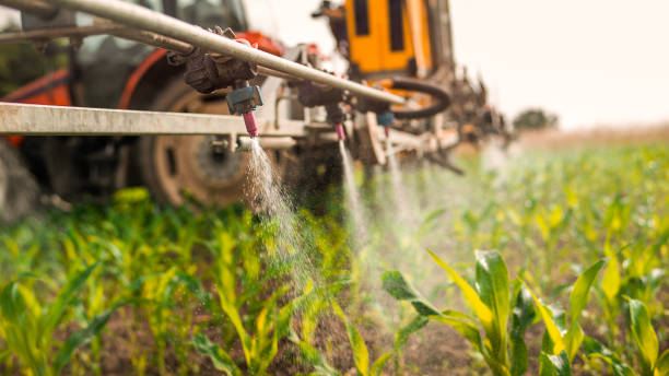 Best Commercial Pest Control Services  in Helena, MT